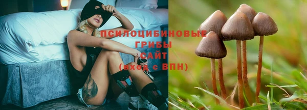 ALPHA-PVP Медногорск